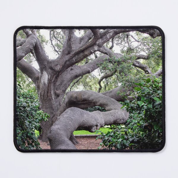 Item preview, Nature's Twists & Turns designed and sold by heatherfriedman.