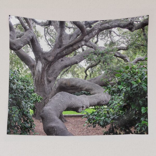 Item preview, Nature's Twists & Turns designed and sold by heatherfriedman.