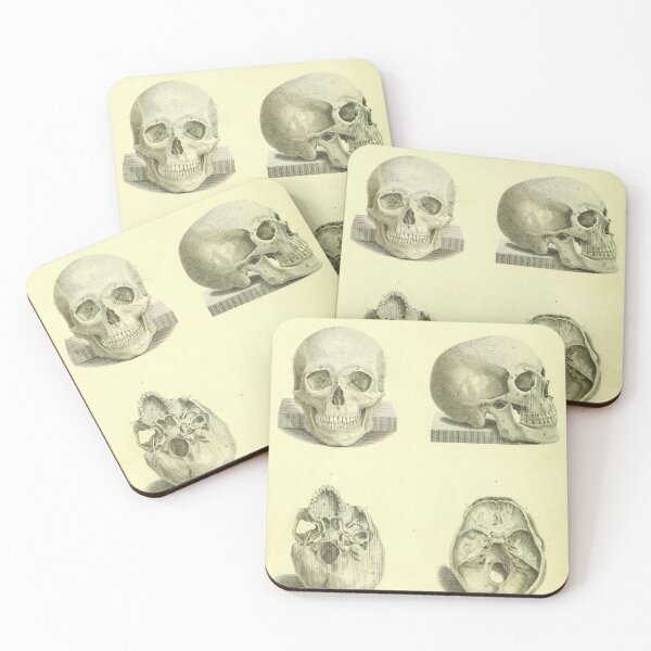 Item preview, Vintage Human Skull Anatomy Diagram (1850) designed and sold by BravuraMedia.