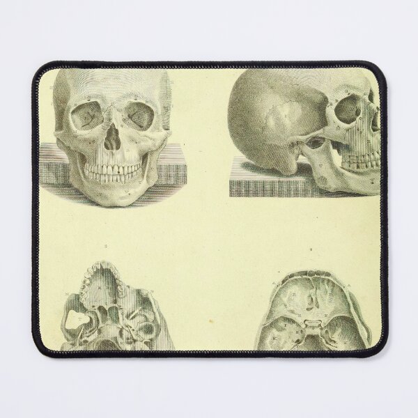 Item preview, Vintage Human Skull Anatomy Diagram (1850) designed and sold by BravuraMedia.