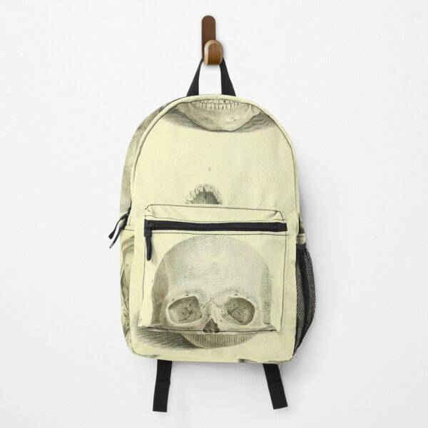 Item preview, Vintage Human Skull Anatomy Diagram (1850) designed and sold by BravuraMedia.