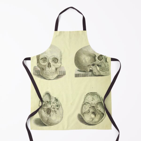 Item preview, Vintage Human Skull Anatomy Diagram (1850) designed and sold by BravuraMedia.