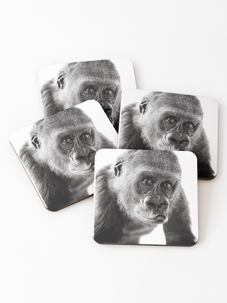Imagen 1 de 5, Posavasos (lote de 4) con la obra Fotografia Gorila, diseñada y vendida por Delsolar.