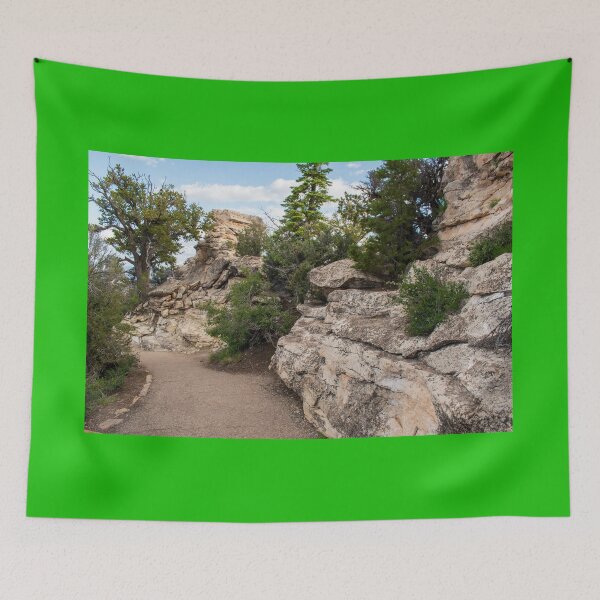 Item preview, Path of The Grand Canyon North Rim  designed and sold by uzasynystersyn.