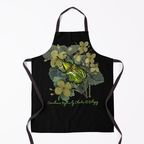 Item preview, Scarabaeus Hyllus by Charles Dessalines D'Orbigny designed and sold by smirey designs.