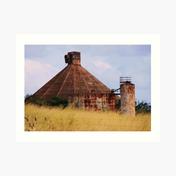 Grove Farm Sugar Mill Art Print