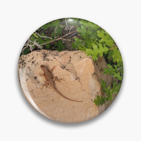 Item preview, Lizard at The Grand Canyon North Rim   designed and sold by uzasynystersyn.