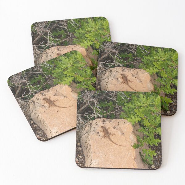 Item preview, Lizard at The Grand Canyon North Rim   designed and sold by uzasynystersyn.