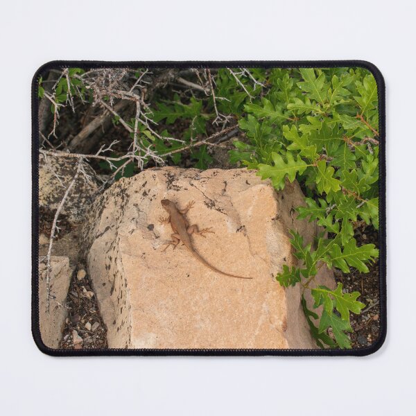 Item preview, Lizard at The Grand Canyon North Rim designed and sold by uzasynystersyn.