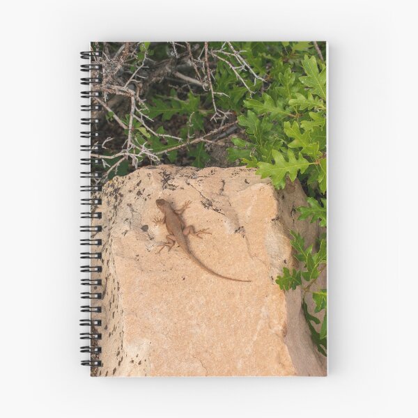 Item preview, Lizard at The Grand Canyon North Rim   designed and sold by uzasynystersyn.