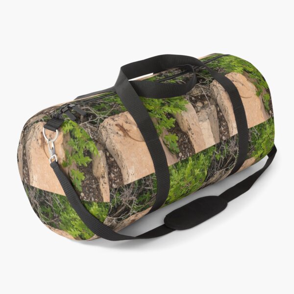 Item preview, Lizard at The Grand Canyon North Rim   designed and sold by uzasynystersyn.