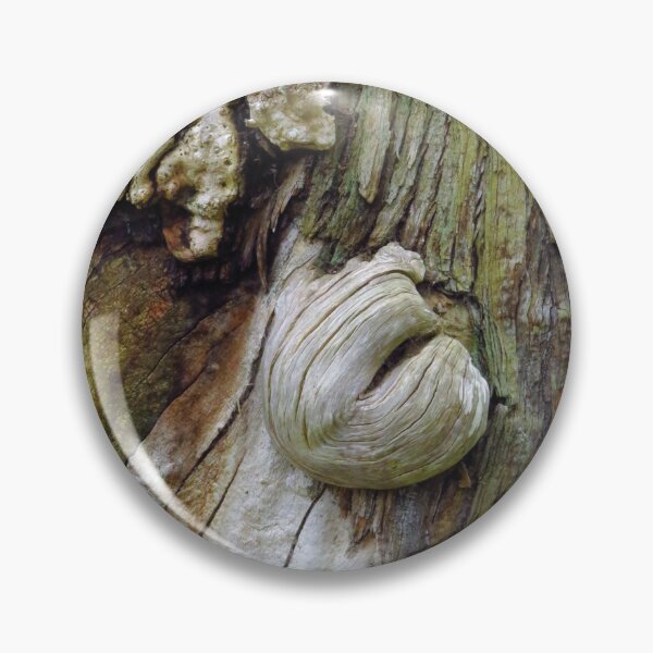 Item preview, Sweet Chestnut Tree, 1700 designed and sold by wiggyofipswich.