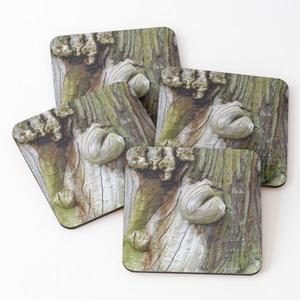 Item preview, Sweet Chestnut Tree, 1700 designed and sold by wiggyofipswich.