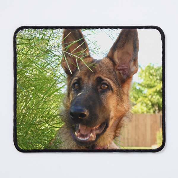 Item preview, German Shepherd Service Dog designed and sold by Mark Grimsley.