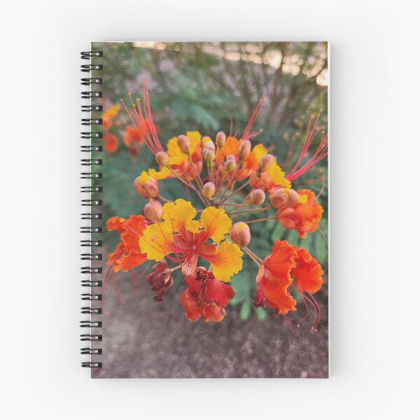 Item preview, Flor tan cerca que floreció designed and sold by L8dyTea.