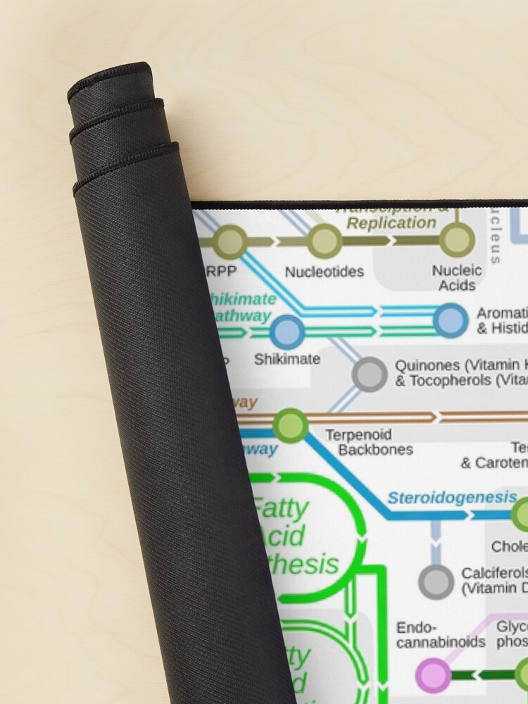Metabolic pathway Mouse Pad