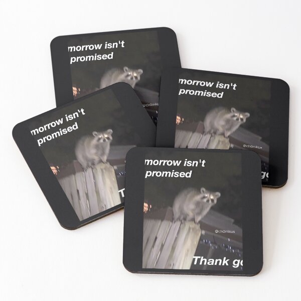 Item preview, Tomorrow Isn't Promised Raccoon  	 	 designed and sold by mhmiyqjbig47.