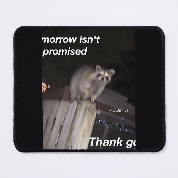 Item preview, Tomorrow Isn't Promised Raccoon designed and sold by mhmiyqjbig47.