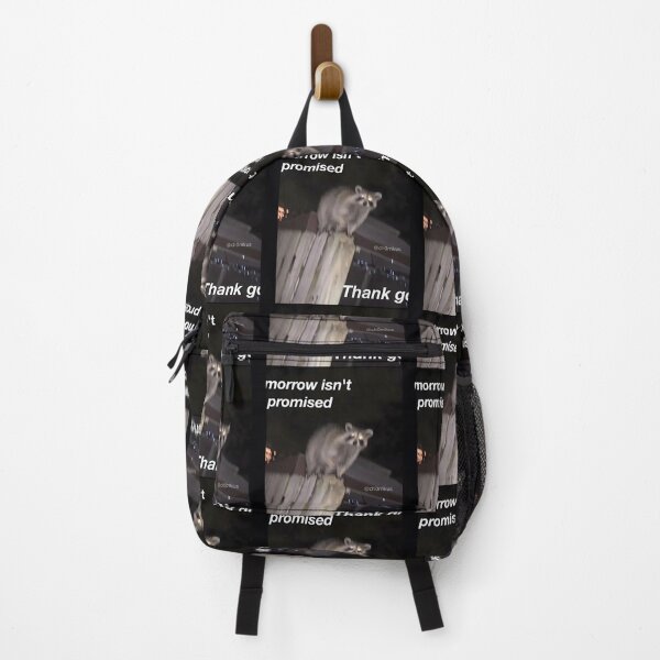 Item preview, Tomorrow Isn't Promised Raccoon designed and sold by mhmiyqjbig47.