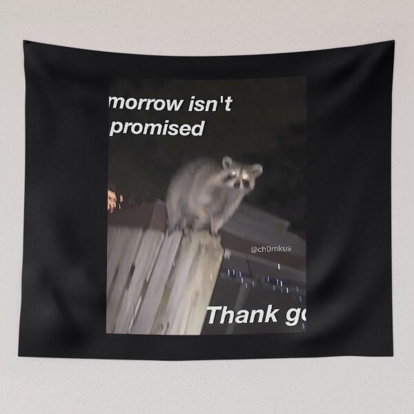 Item preview, Tomorrow Isn't Promised Raccoon  	 	 designed and sold by mhmiyqjbig47.