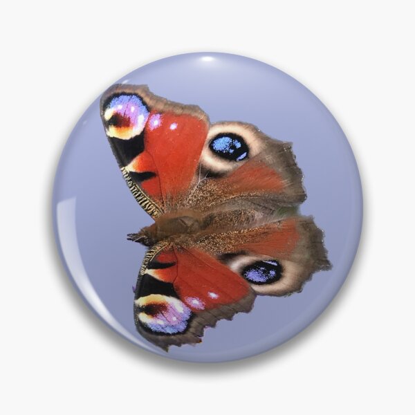 Item preview, Peacock Butterfly in the Sun designed and sold by Beardsall-Art.