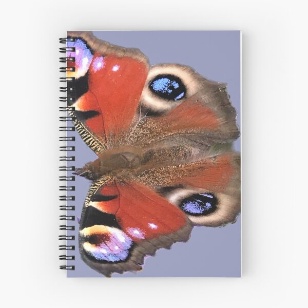 Item preview, Peacock Butterfly in the Sun designed and sold by Beardsall-Art.