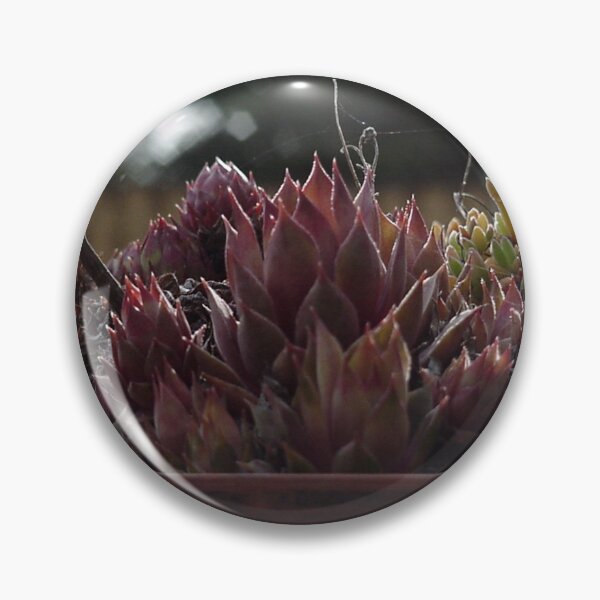 Item preview, 90s succulents designed and sold by Ayko-Sicarius.