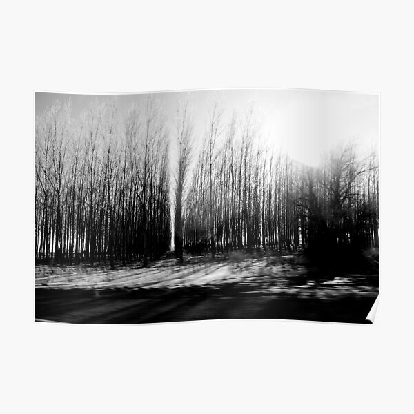 Tree Farm Poster