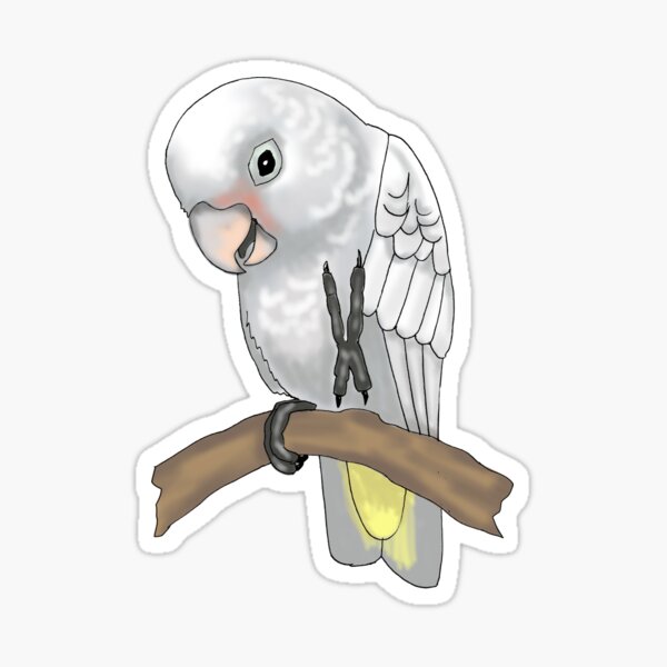 Goffin's Cockatoo Sticker
