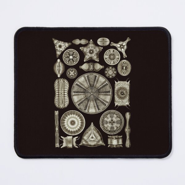 Item preview, Ernst Haeckel designed and sold by RobertHuntass.