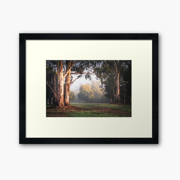 Item preview, Foggy Morning in Pioneer Park, Bright designed and sold by brightmystic.