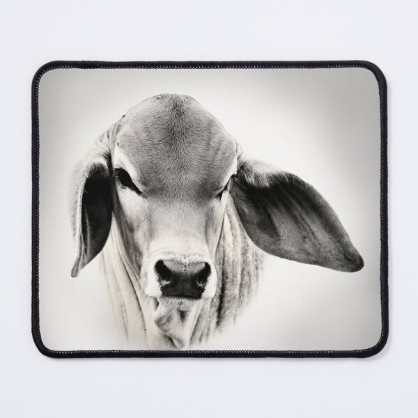Item preview,  BRAHMAN CALF, WALL ART AND DESIGNS designed and sold by Barbara Jean Photo Art And Design.