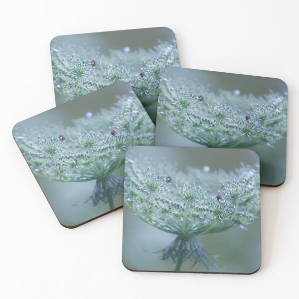 Item preview, Wild carrot designed and sold by Anita van Gendt.