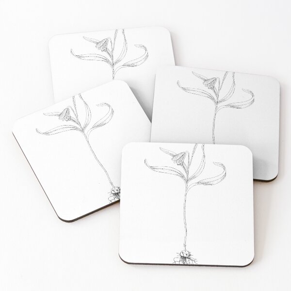 Item preview, Fritillaria Minima, Snow Tulip designed and sold by pinori.