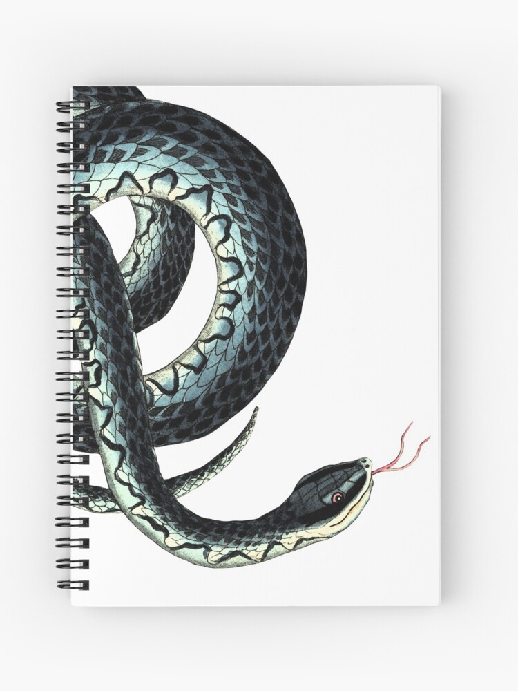 Cuaderno de espiral «Pintura de serpiente para aficionados a los reptiles»  de k0rry | Redbubble