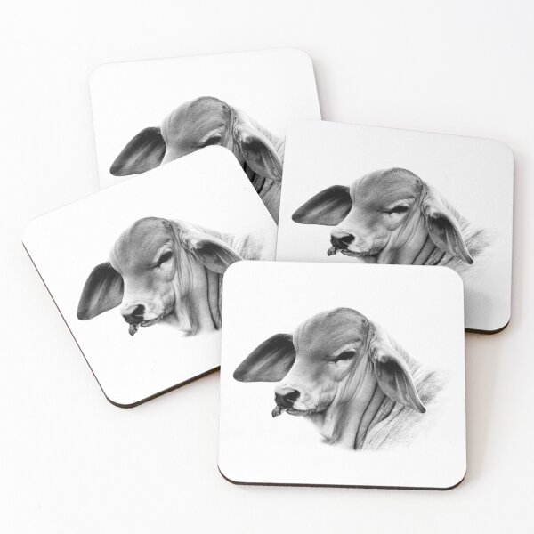 Item preview, BRAHMAN CALF PORTRAIT, WALL ART AND DESIGNS designed and sold by Barbara Jean Photo Art And Design.
