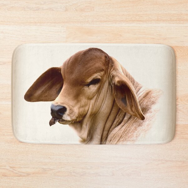 Item preview,   BRAHMAN CALF,  WALL ART AND DESIGNS designed and sold by Barbara Jean Photo Art And Design.