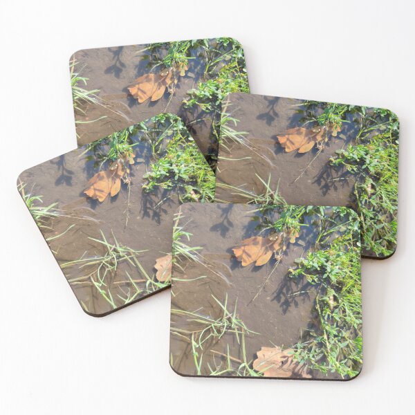 Item preview, Grass and leaves in a warm puddle designed and sold by tshuki.