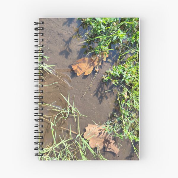 Item preview, Grass and leaves in a warm puddle designed and sold by tshuki.