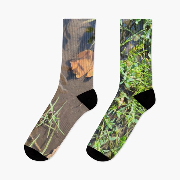 Item preview, Grass and leaves in a warm puddle designed and sold by tshuki.