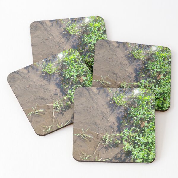 Item preview, Plants need mud to grow well designed and sold by tshuki.