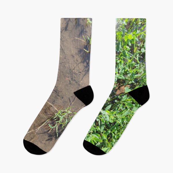 Item preview, Plants need mud to grow well designed and sold by tshuki.