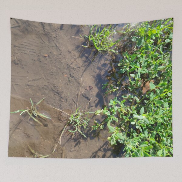 Item preview, Plants need mud to grow well designed and sold by tshuki.