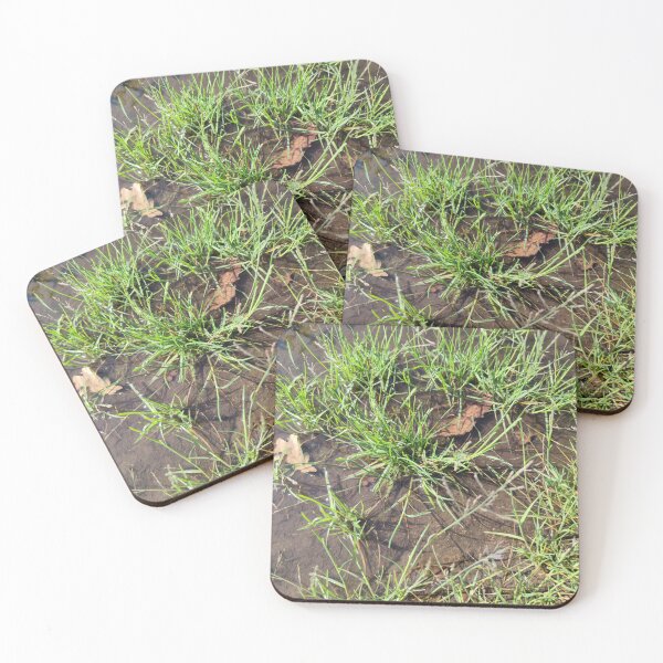 Item preview, Last puddle picture for now!  designed and sold by tshuki.