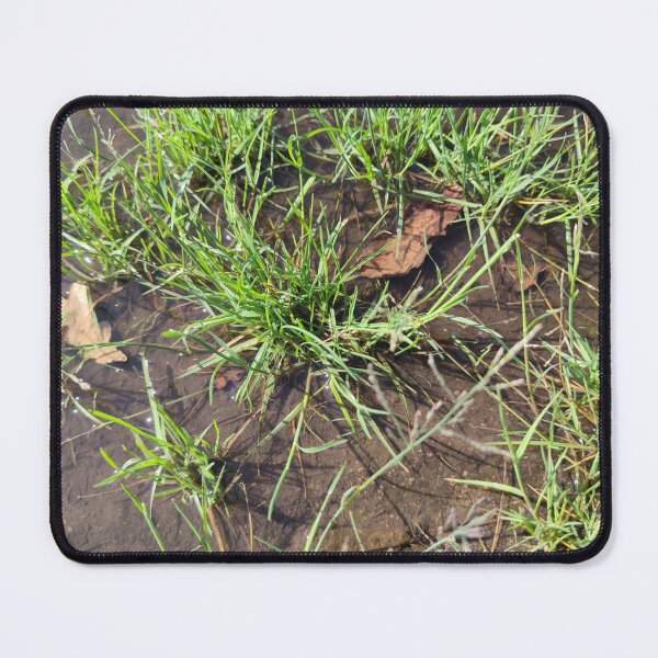Item preview, Last puddle picture for now! designed and sold by tshuki.