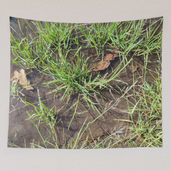 Item preview, Last puddle picture for now!  designed and sold by tshuki.