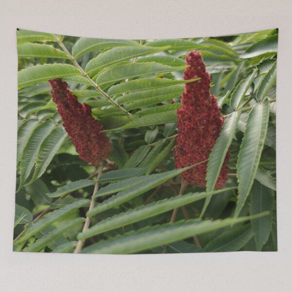 Item preview, Red flowers of vinegar tree no idea how it's called in english designed and sold by tshuki.