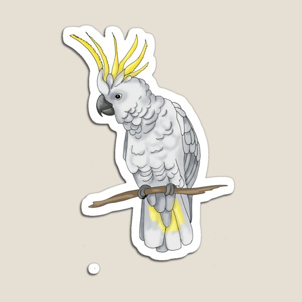 Sulphur Crested Cockatoo Magnet
