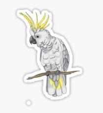 Sulphur Crested Cockatoo Sticker