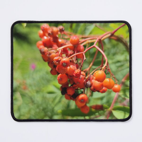 Item preview, Red wild berries birds love rowan  designed and sold by tshuki.